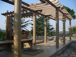 廣州同欣 木塑型材賦能康體設(shè)備，引領(lǐng)綠色運(yùn)動(dòng)新潮流